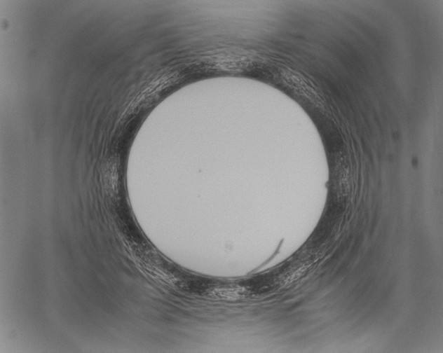 X0000060550595200512011618