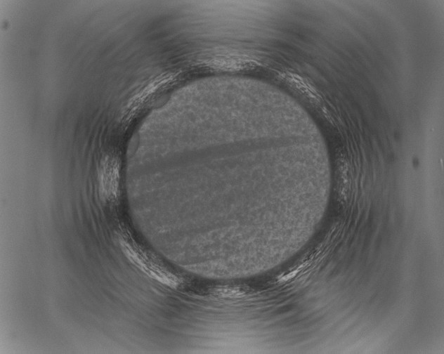 X0000060550596200512011618