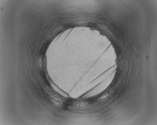 X0000060550597200512011618