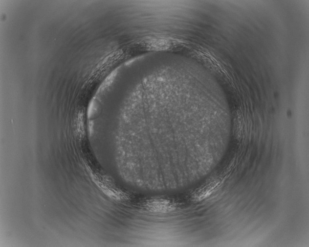 X0000060550598200512011618