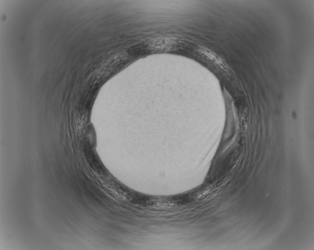 X0000060550601200512011618