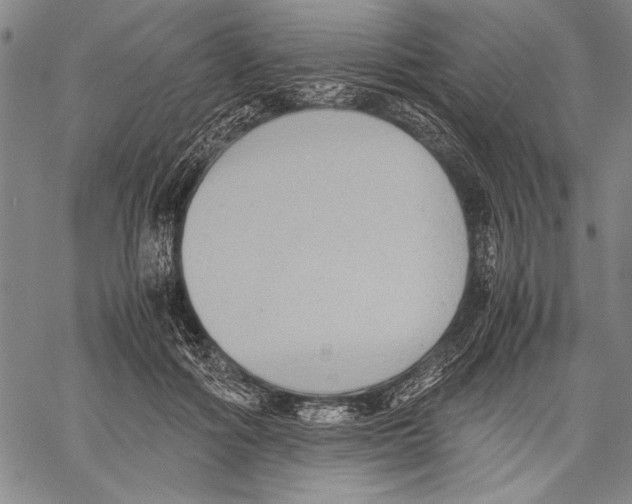 X0000060550602200512011618