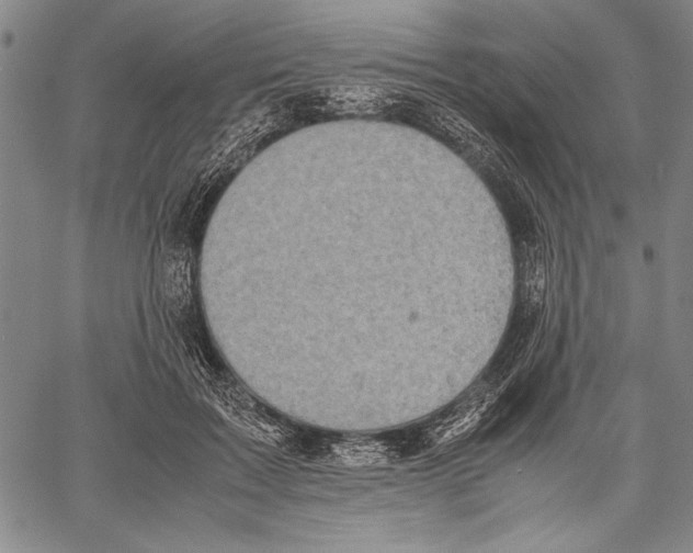 X0000060550603200512011618