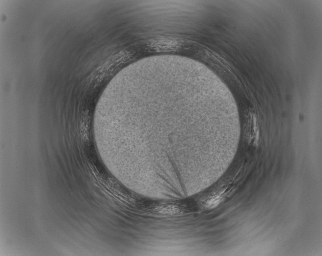 X0000060550604200512011618