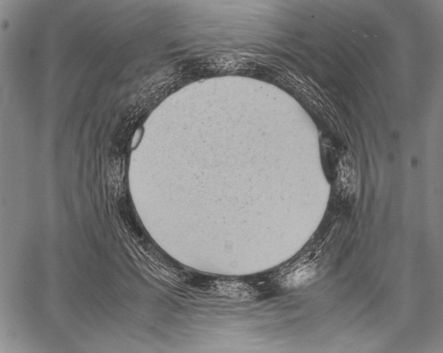 X0000060550605200512011618