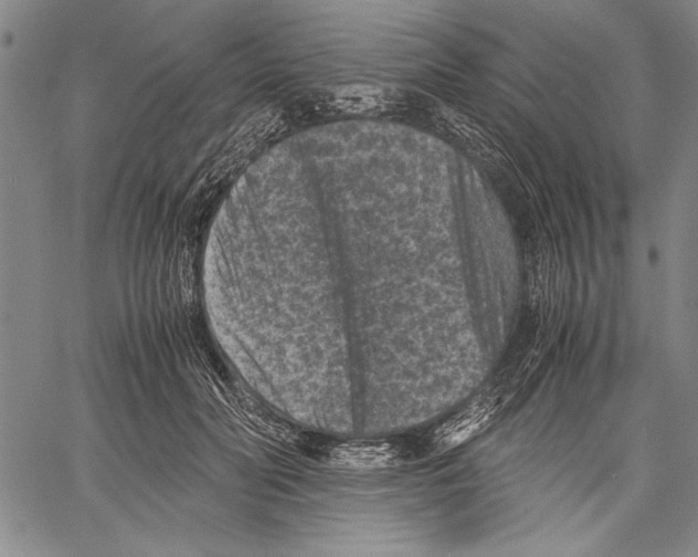 X0000060550606200512011618