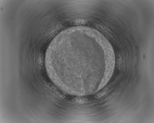 X0000060550608200512011618