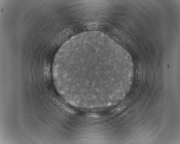 X0000060550610200512011618