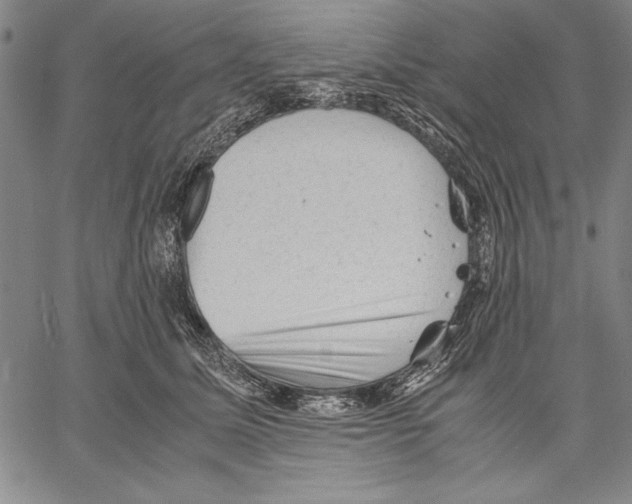 X0000060550611200512011618