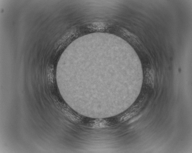 X0000060550612200512011618