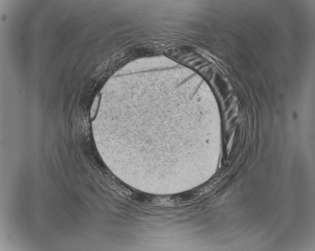 X0000060550613200512011618