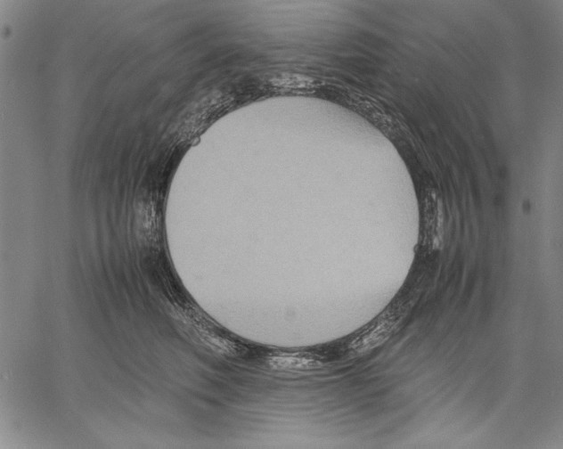 X0000060550614200512011618