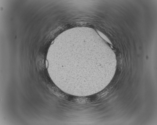 X0000060550615200512011618