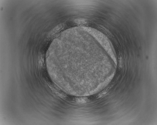 X0000060550618200512011618