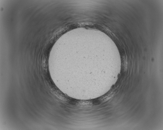 X0000060550619200512011618