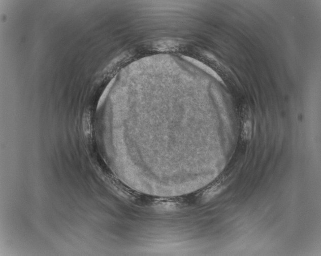 X0000060550620200512011618