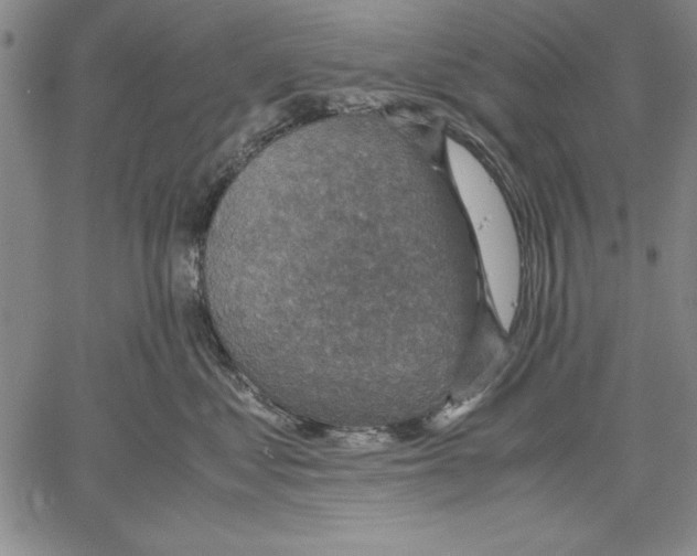 X0000060550621200512011618