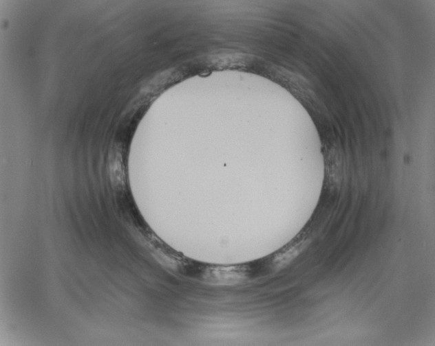 X0000060550622200512011618