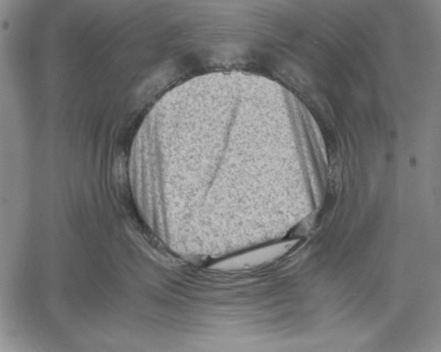 X0000060550623200512011618