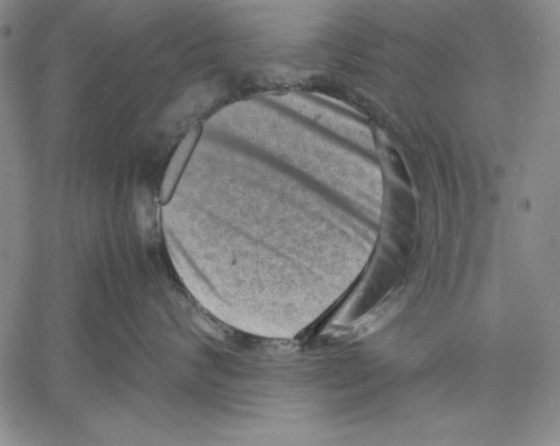 X0000060550624200512011618