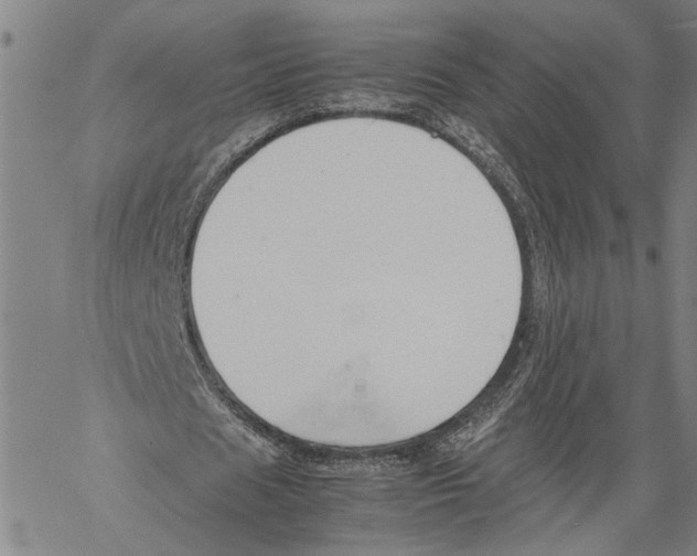 X0000060550625200512011617