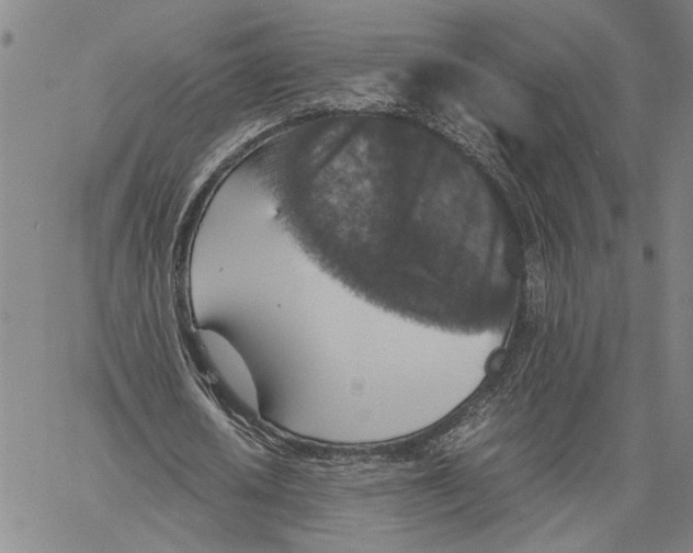 X0000060550626200512011617