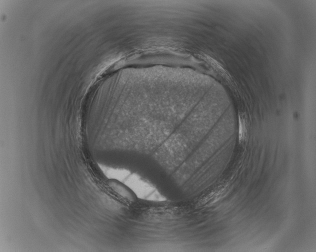 X0000060550627200512011617