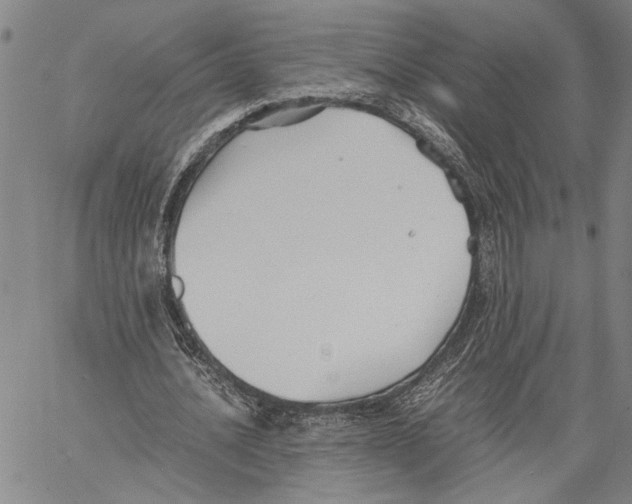 X0000060550628200512011617