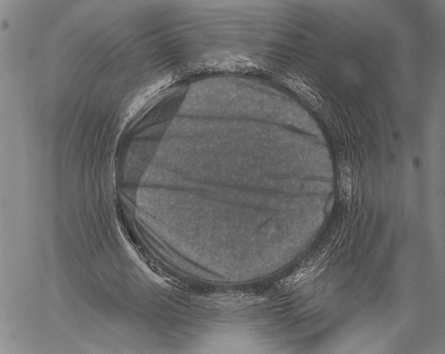 X0000060550630200512011617