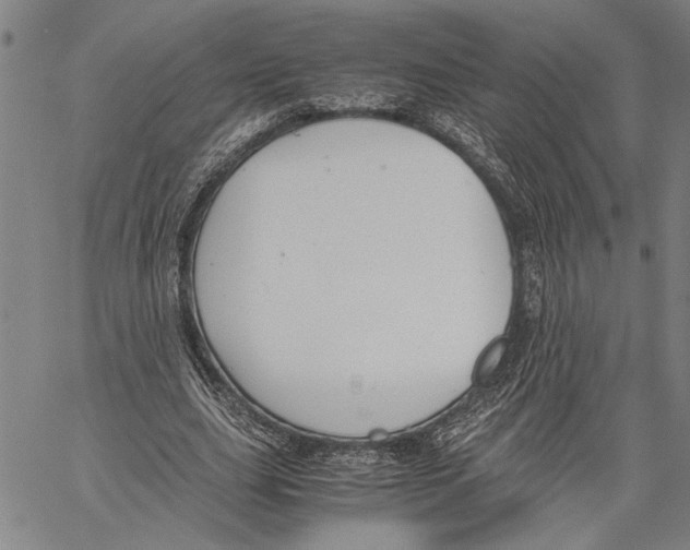 X0000060550631200512011617