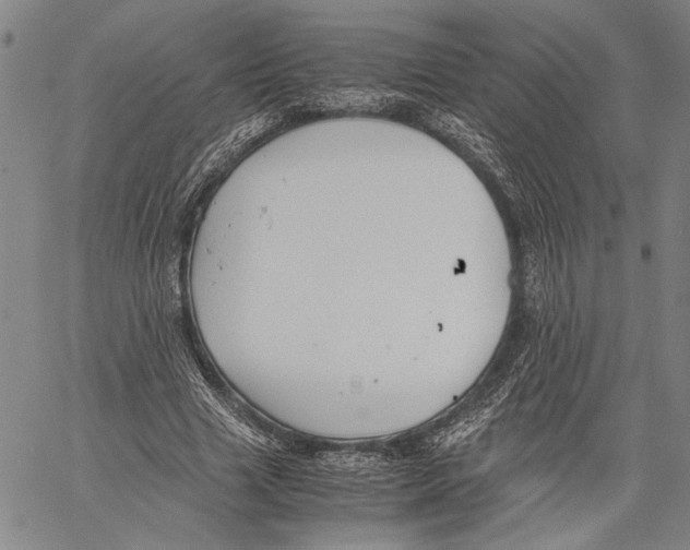 X0000060550633200512011617