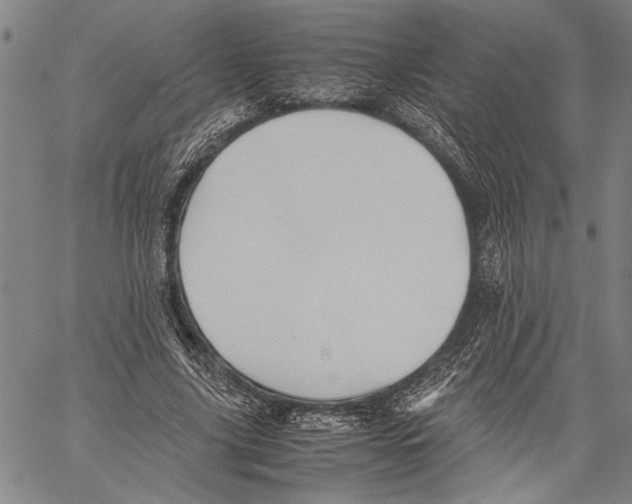 X0000060550635200512011617