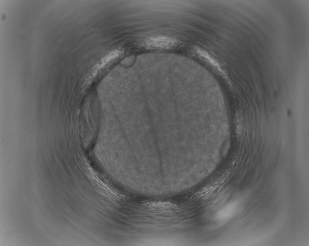 X0000060550637200512011617