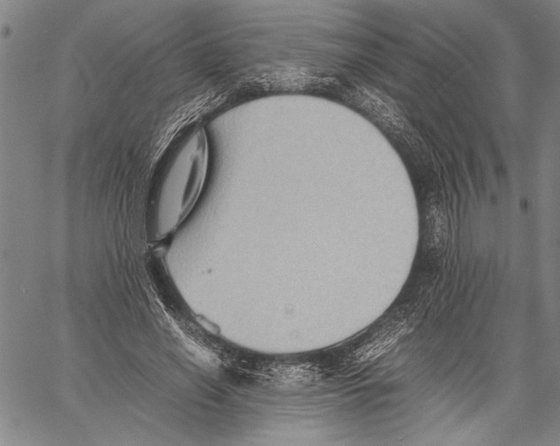 X0000060550638200512011617