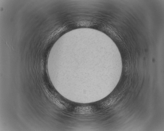 X0000060550639200512011617