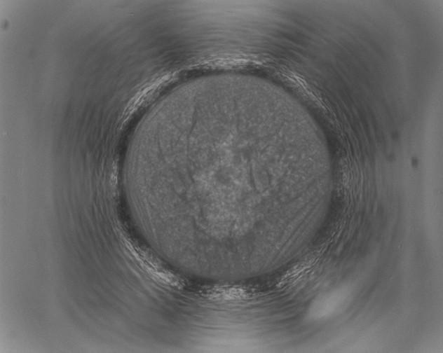 X0000060550640200512011617