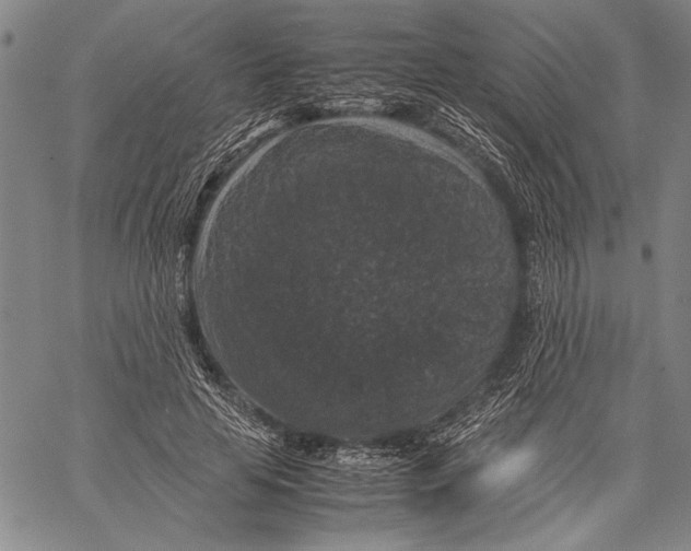 X0000060550641200512011617