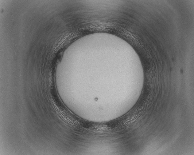 X0000060550642200512011617