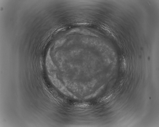 X0000060550643200512011617