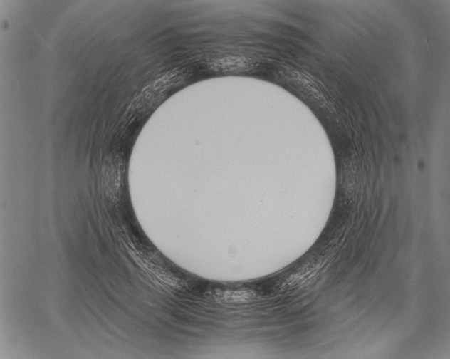 X0000060550645200512011617