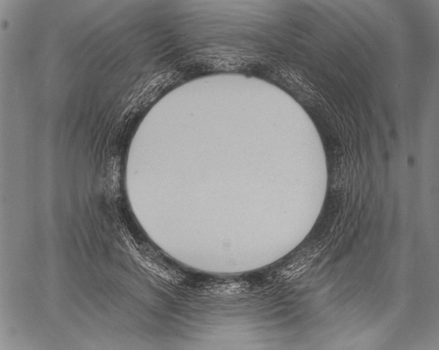 X0000060550646200512011617