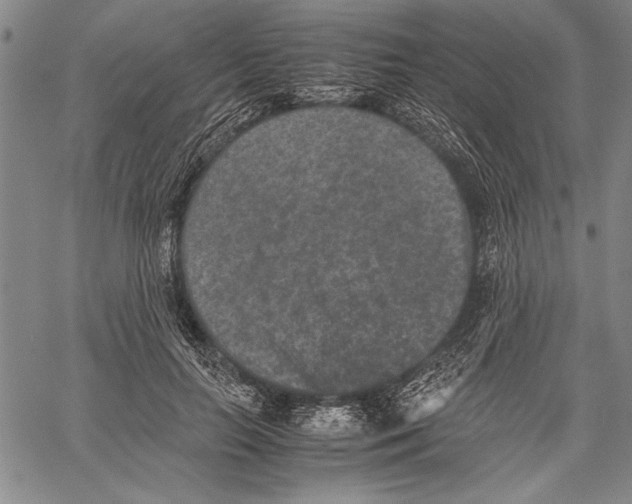 X0000060550647200512011617