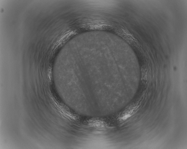 X0000060550648200512011617