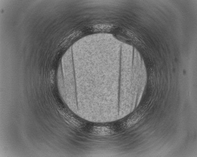 X0000060550649200512011617