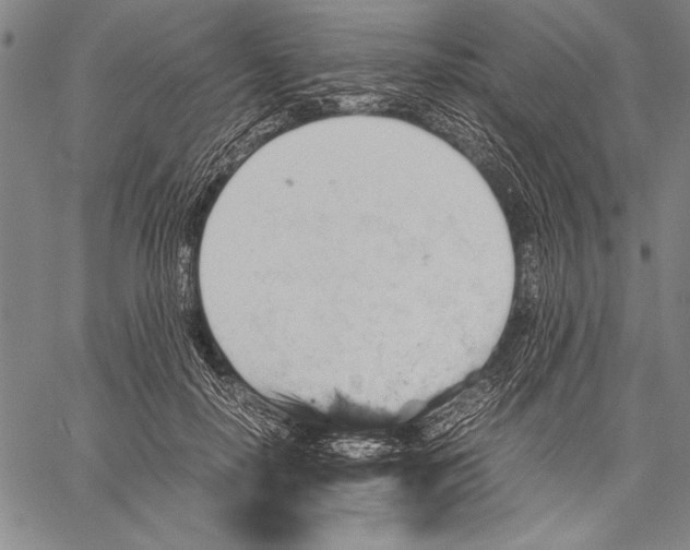 X0000060550650200512011617