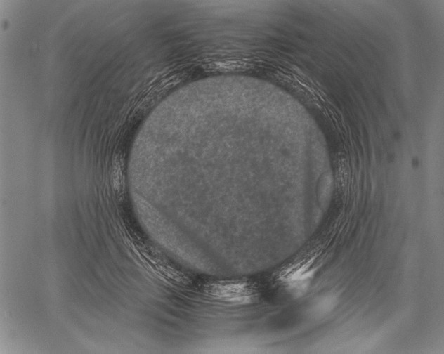 X0000060550651200512011617