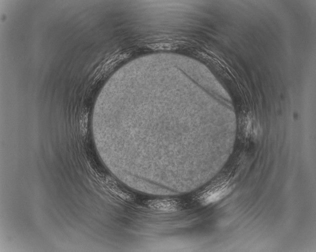 X0000060550652200512011617