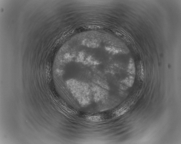 X0000060550653200512011617