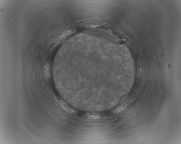 X0000060550658200512011617