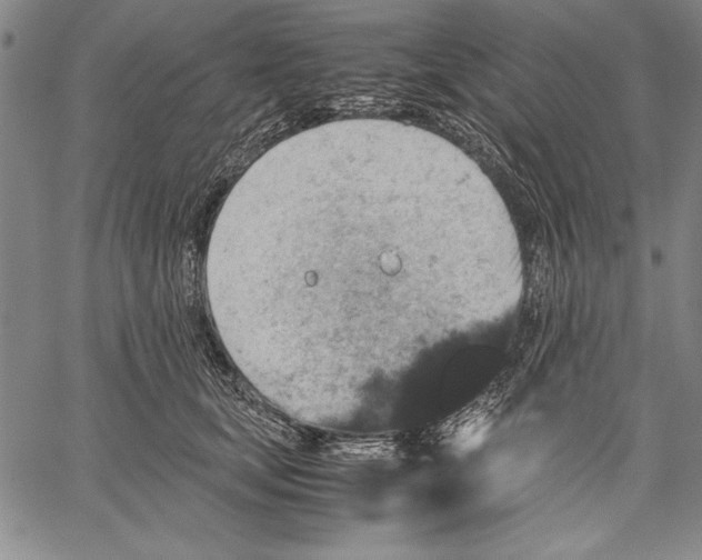 X0000060550659200512011617